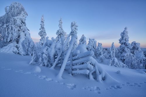 Заячьими тропами...
