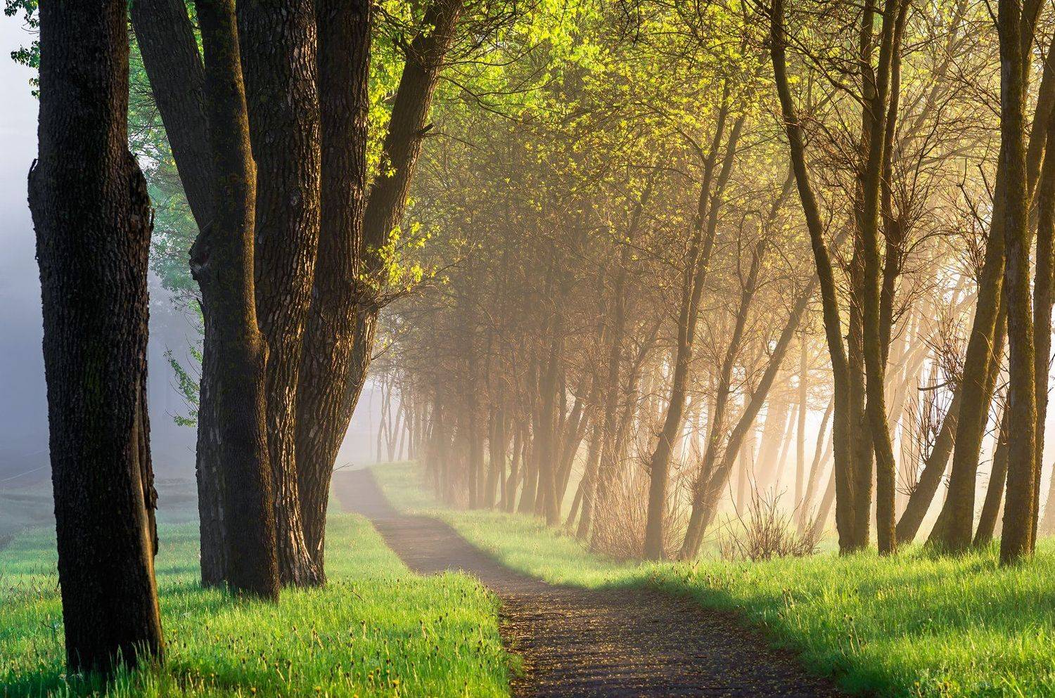 , Руслан Авдевич