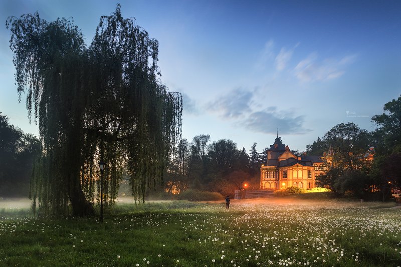 Foggy Sunset фото превью