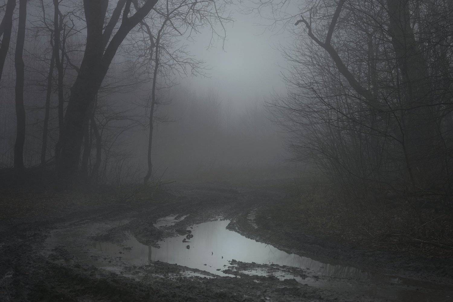 туман утро зима, Александр Жарников