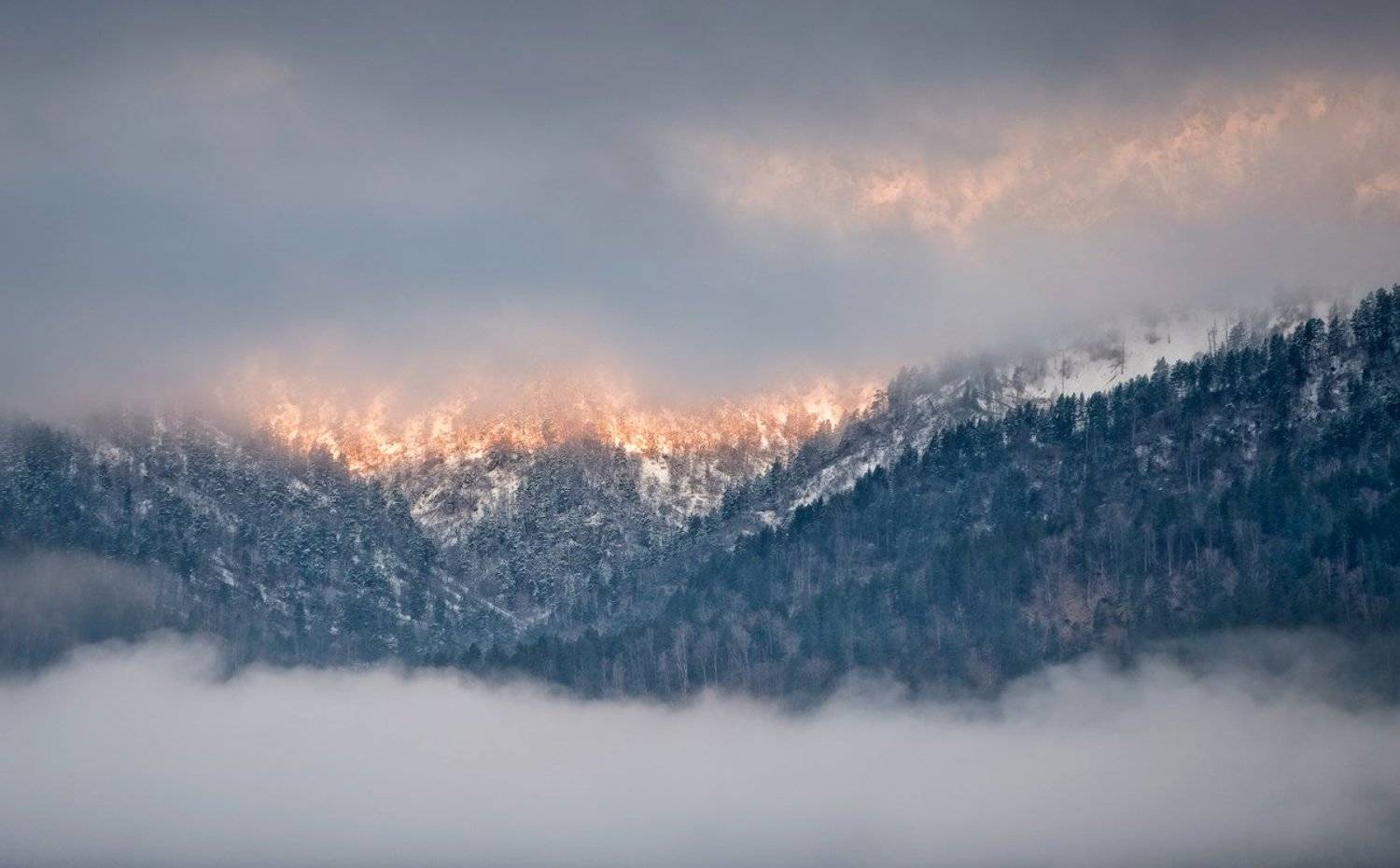 , Ольга Челдыкова