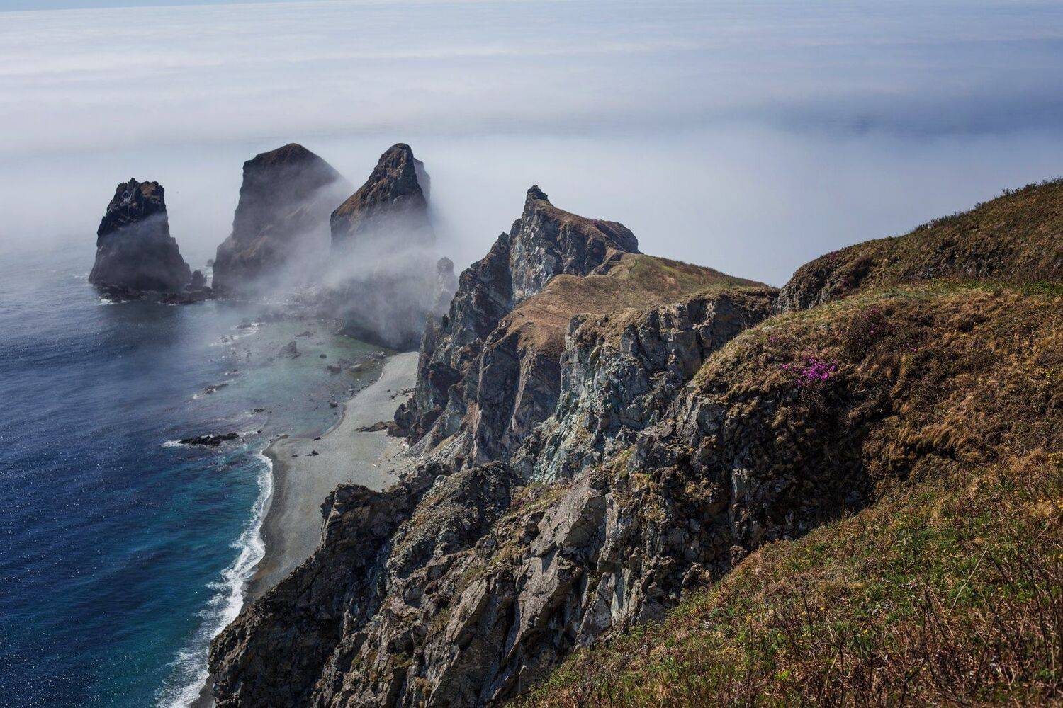 , Сигида Дмитрий