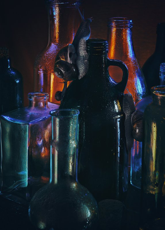 улитка, бутылки, стекло, натюрморт Гонка фото превью