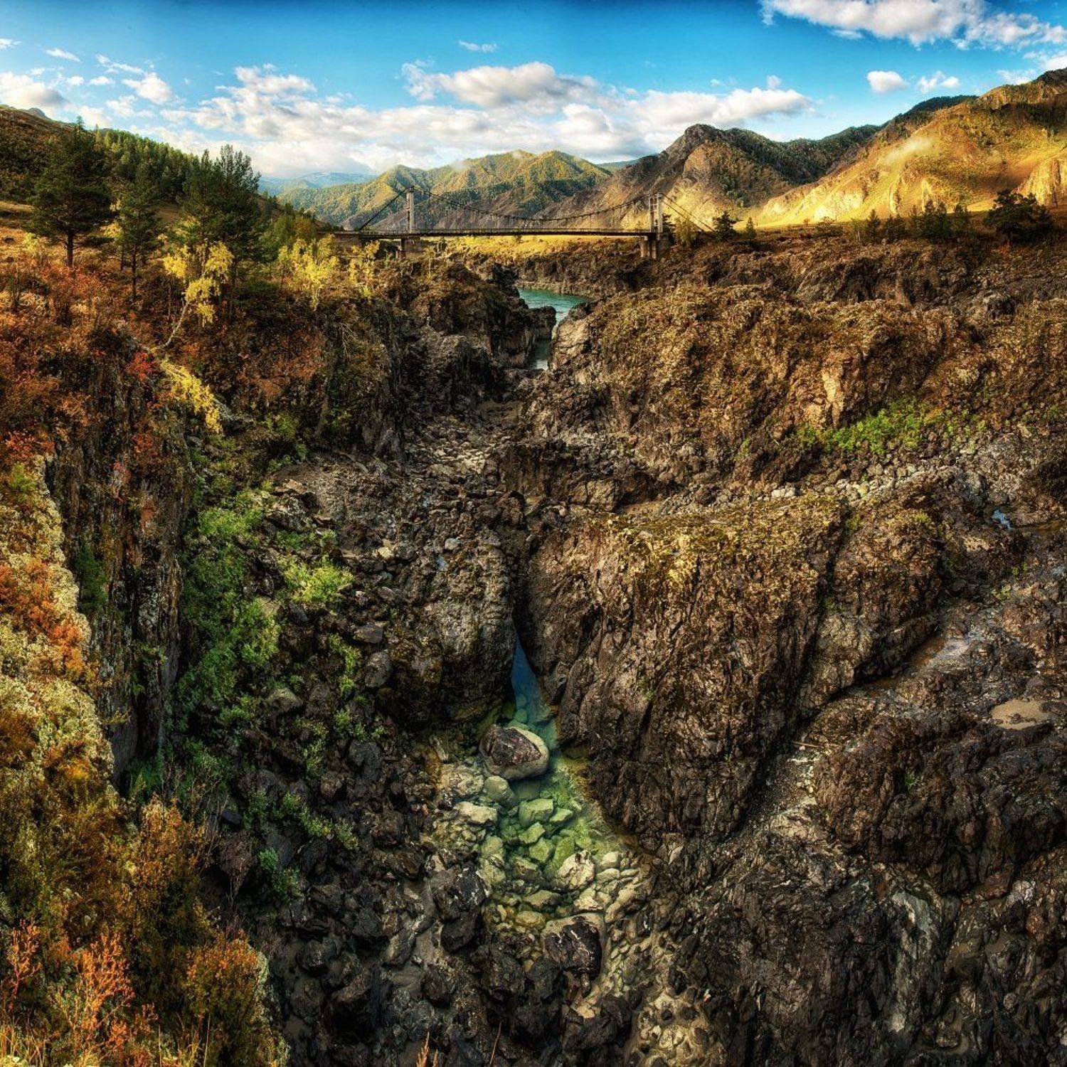 , Толмачев Дмитрий