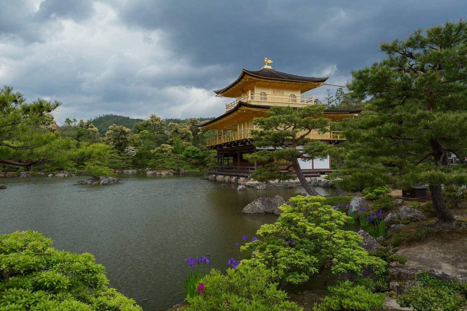 , Александър Сандев