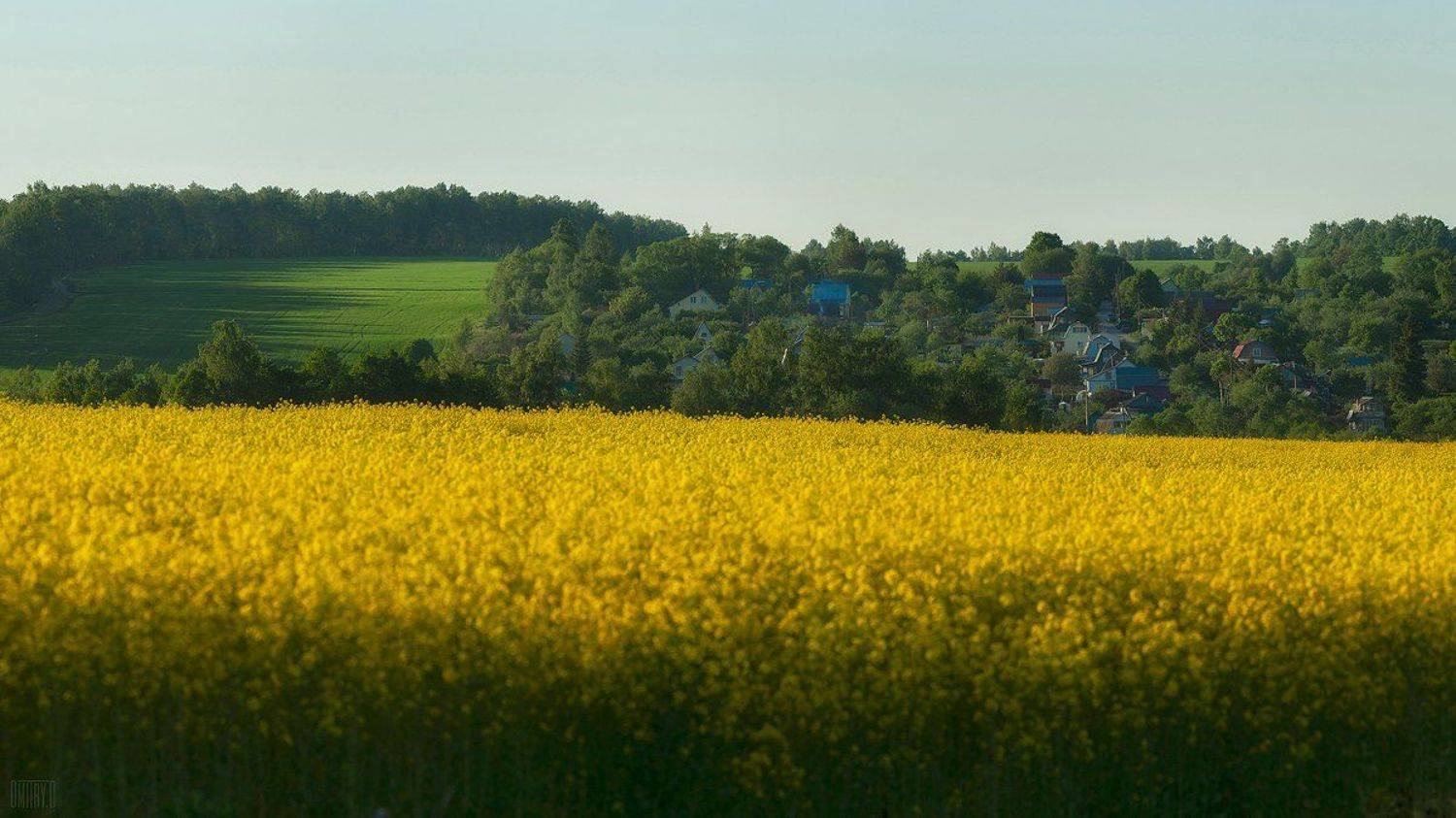 , Дмитрий Доронин