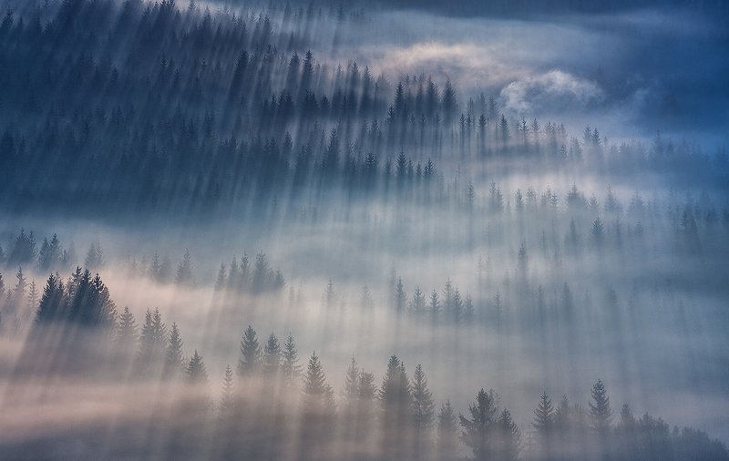 Frost in the valley фото превью