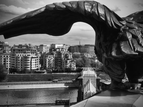 Under the wings