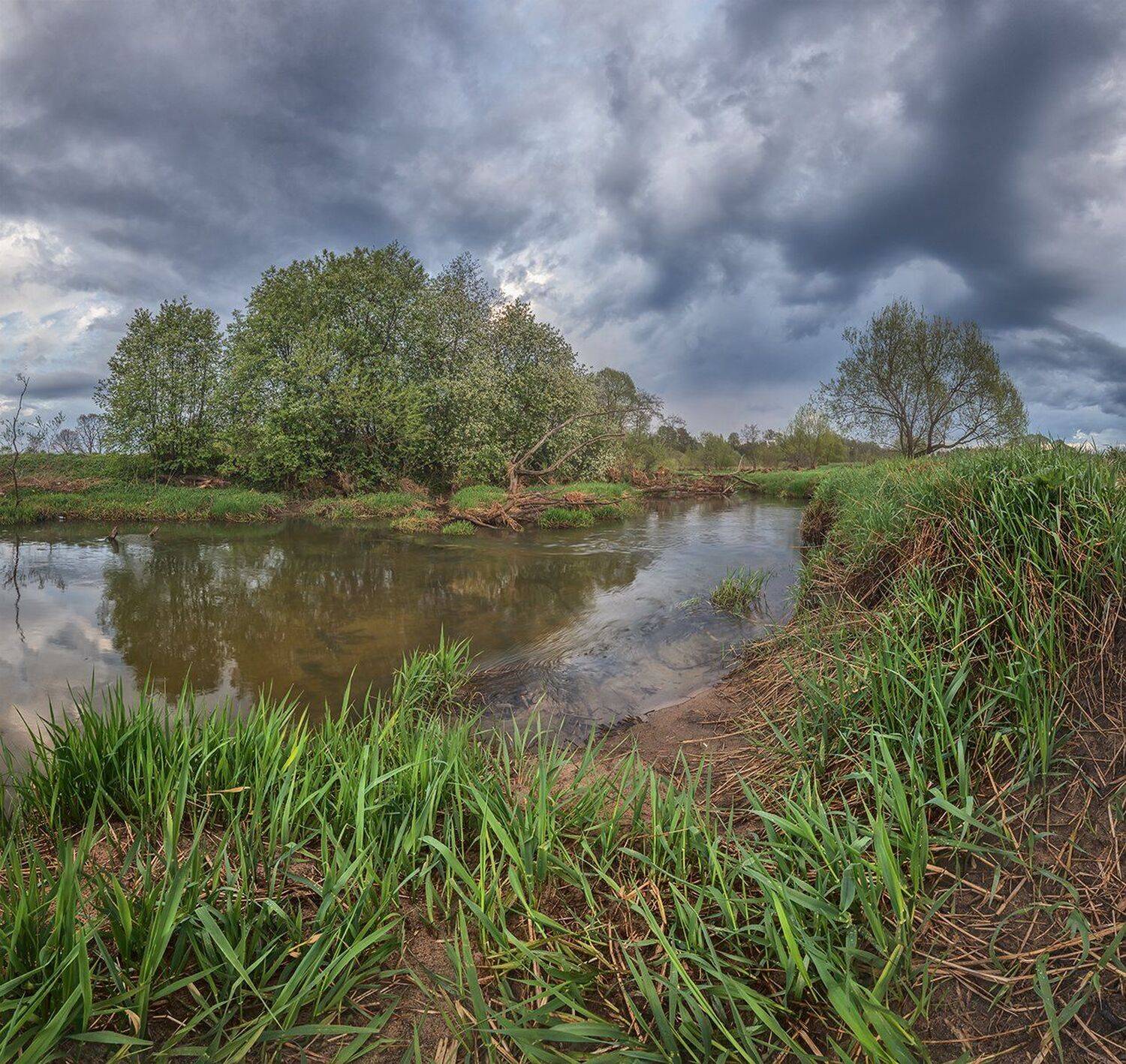 , Николай Андреев