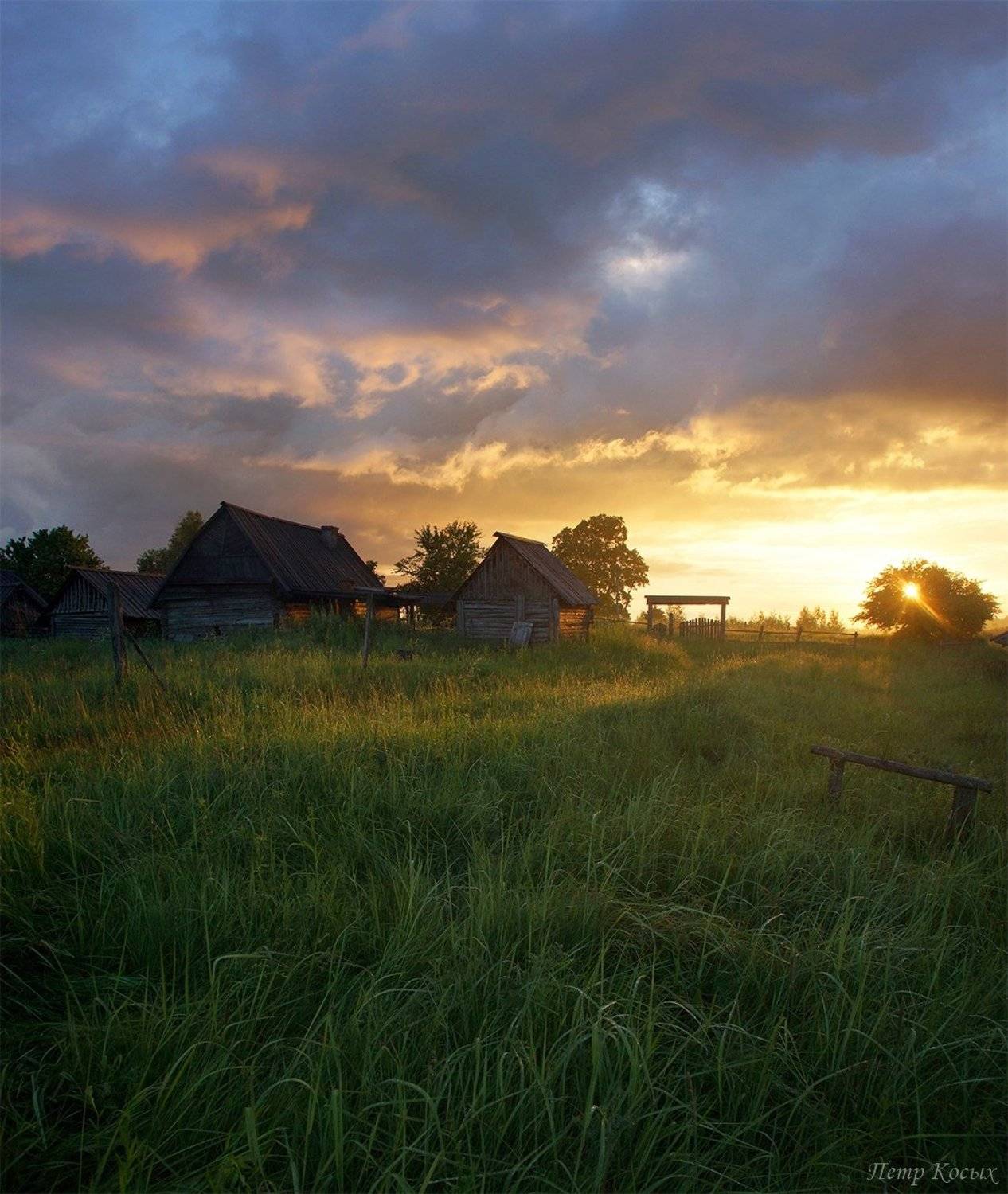 пейзаж, рассвет, псковскаяобласть, деревня, Петр Косых