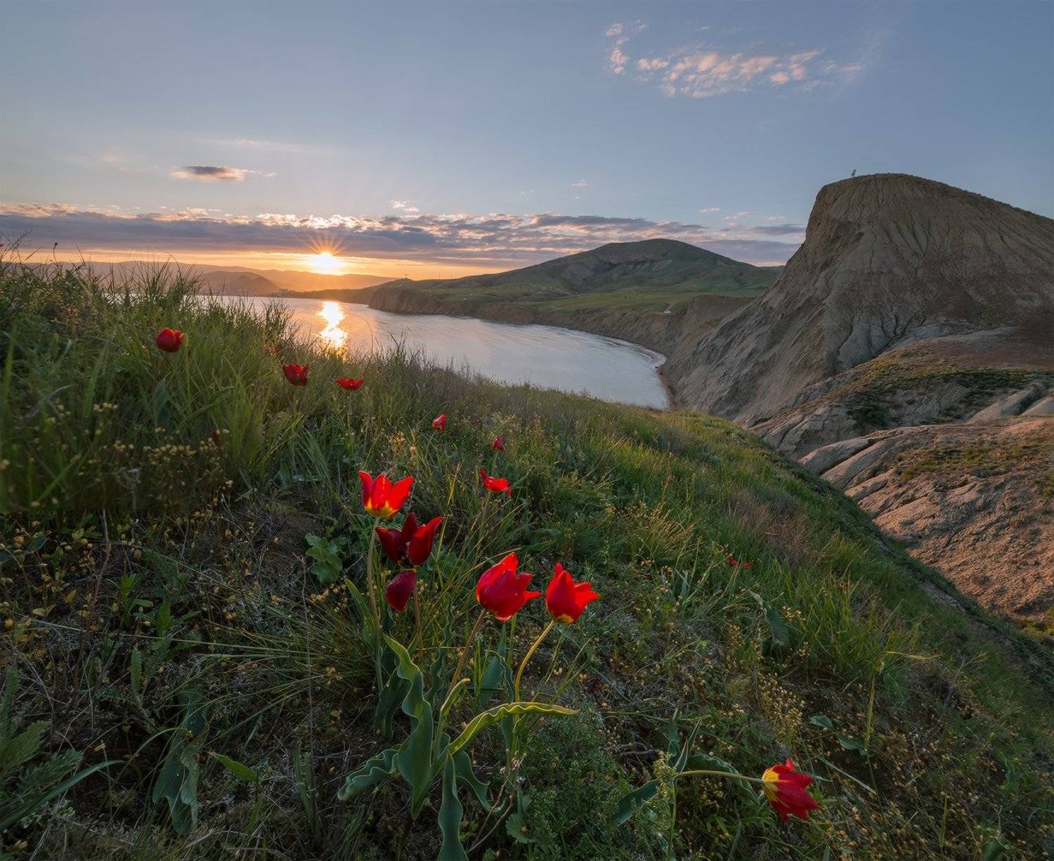крым, мыс, хамелеон,весна, май, Николай Мысливцев