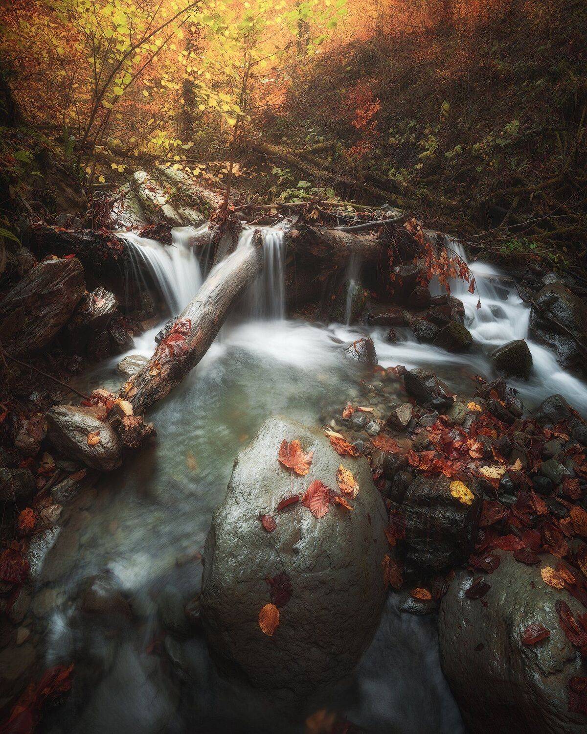 , Tania Leschinskaya