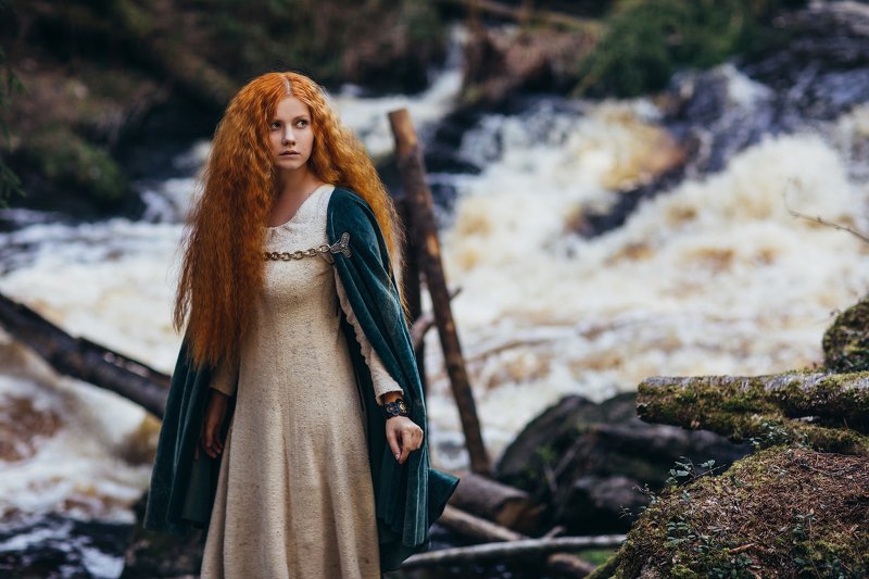 Viking Line 4 фото превью