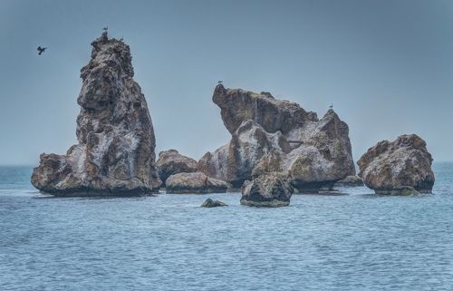 К высотам Понтийских скал, покою весеннего пляжа.