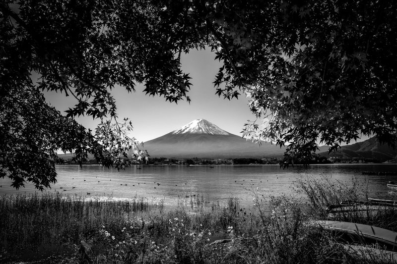 fuji,mountain,japan,tree,leaf,autumn,lake,water Colorful curtain фото превью