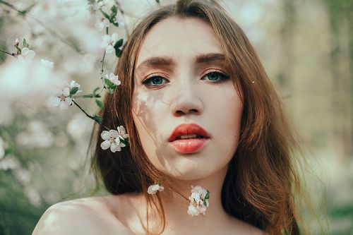 Sakura