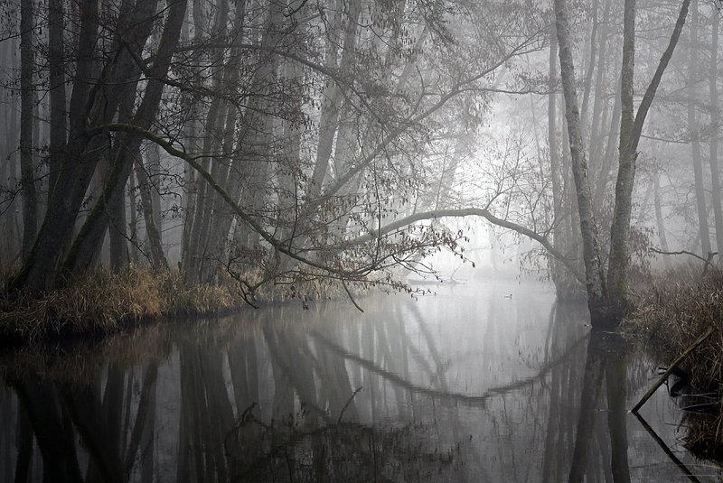 ... фото превью