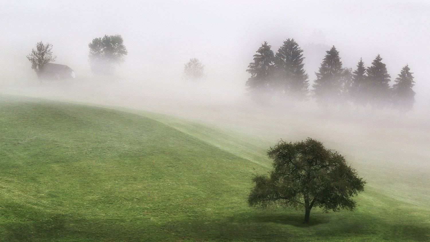 швейцария, альпы, туман, Галина Хвостенко