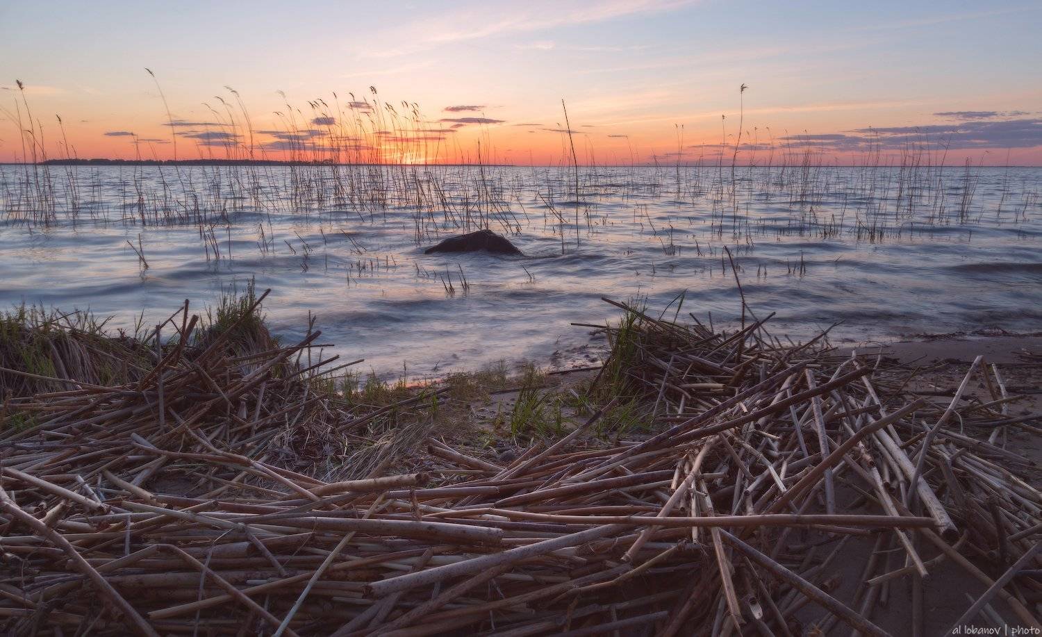 , Алексей Лобанов