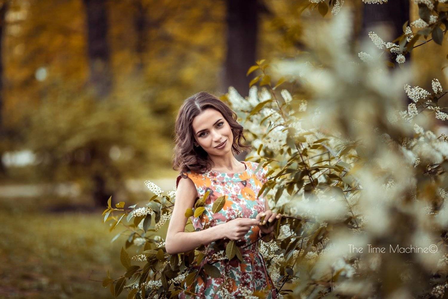 , Михаил Бове