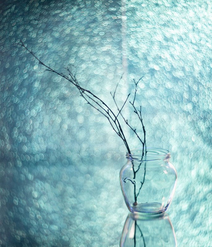 натюрморт, боке, ветка, голубое  фото превью