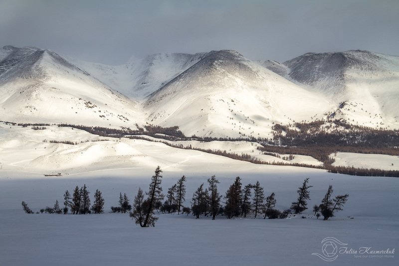 landscape, scenic, nature, travel, outdoor, view, steppe, larch, tree, spring, mountains, snow, sky, high, kurayskyi range, gornyi altai Зимний Курайский фото превью