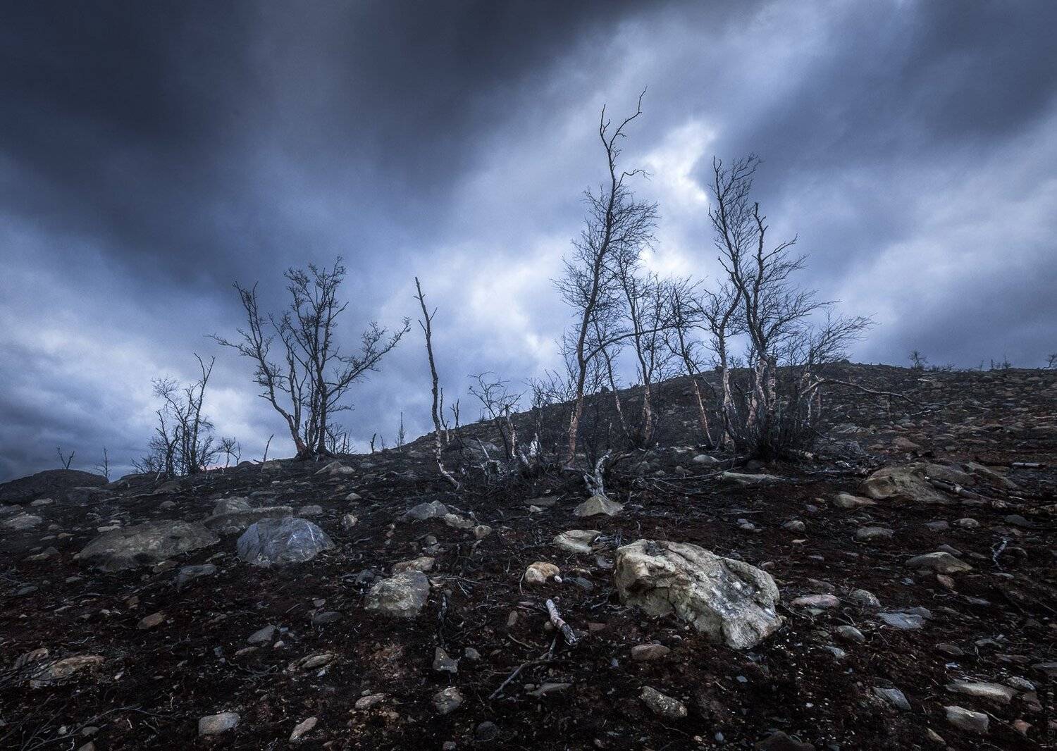 , Евгений Луцко