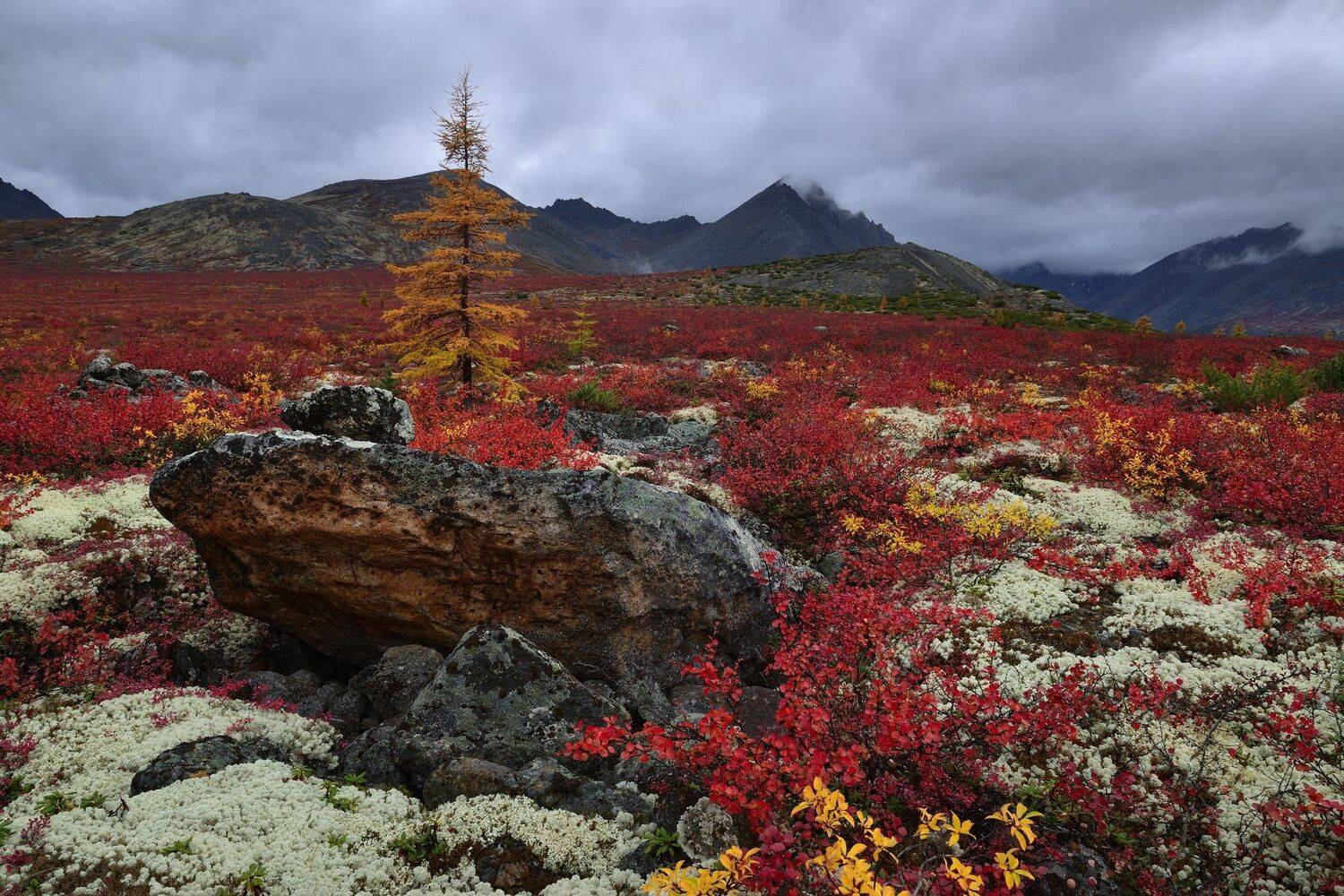 , Максим Евдокимов (phototourtravel.ru)