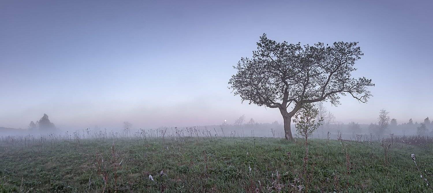 , Николай Андреев