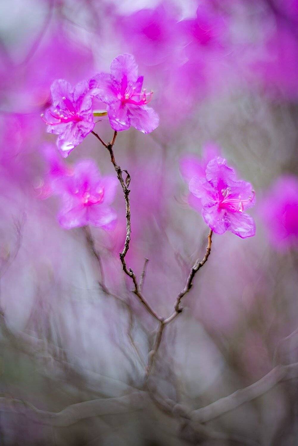 , Сергей Брагин