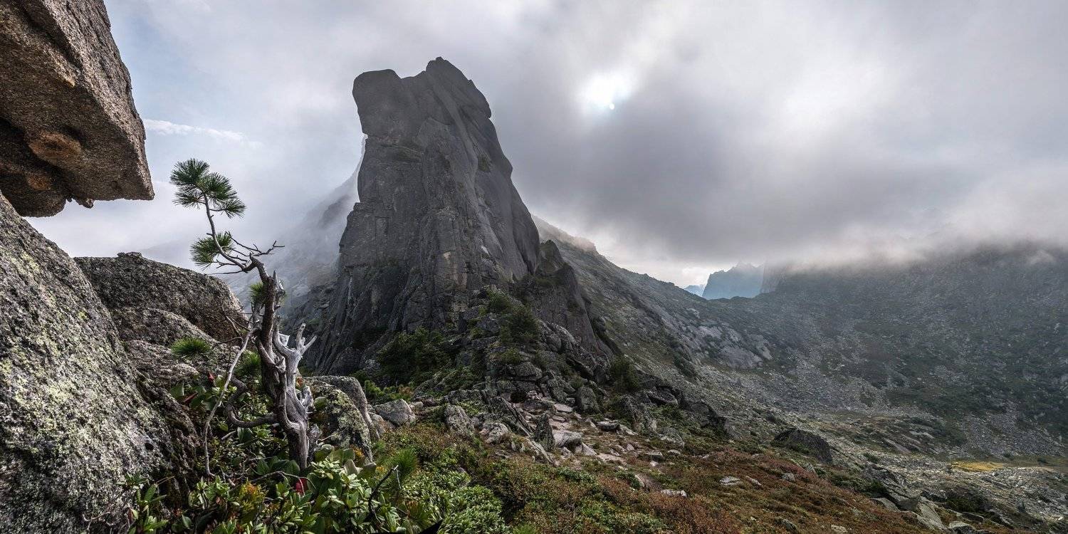 горы, россия, сибирь, саяны, западный саян, ергаки, путешествие, поход, приключения, ник васильев, утро, туман, дерево, кедр, панорама, перевал сказка, Николай Васильев