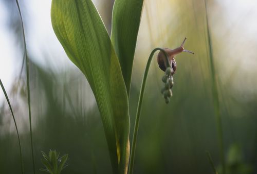 Между небом и землёй