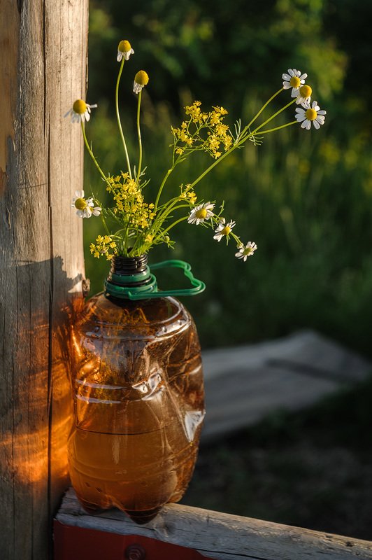 Спонтанный натюрморт фото превью