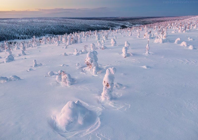 Зимняя сказка Лапландии фото превью