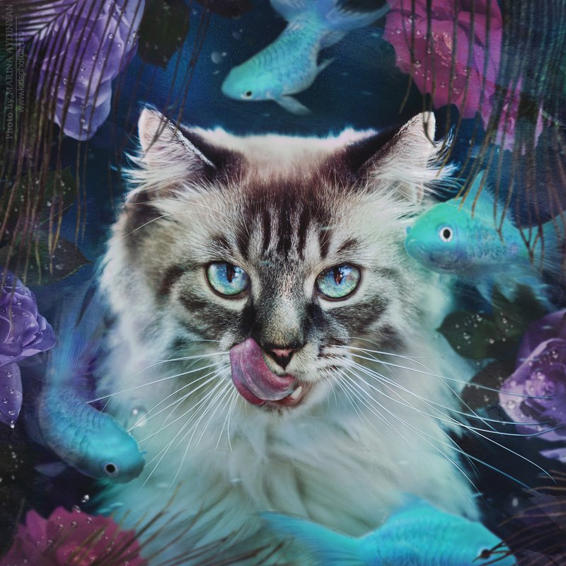 животные, фотосессия, котики, кот, art, photoart,  photo, photosession, photographer, портрет, художественныйпортрет, концептуальнаяфотография О коте фото превью