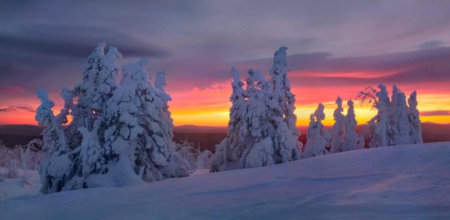 урал, зима, гух, закат, снег, ели, облака, Сергей Макурин