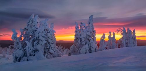 Не пропустить...
