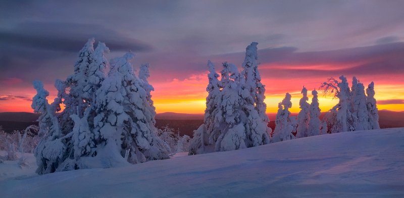 урал, зима, гух, закат, снег, ели, облака Не пропустить... фото превью