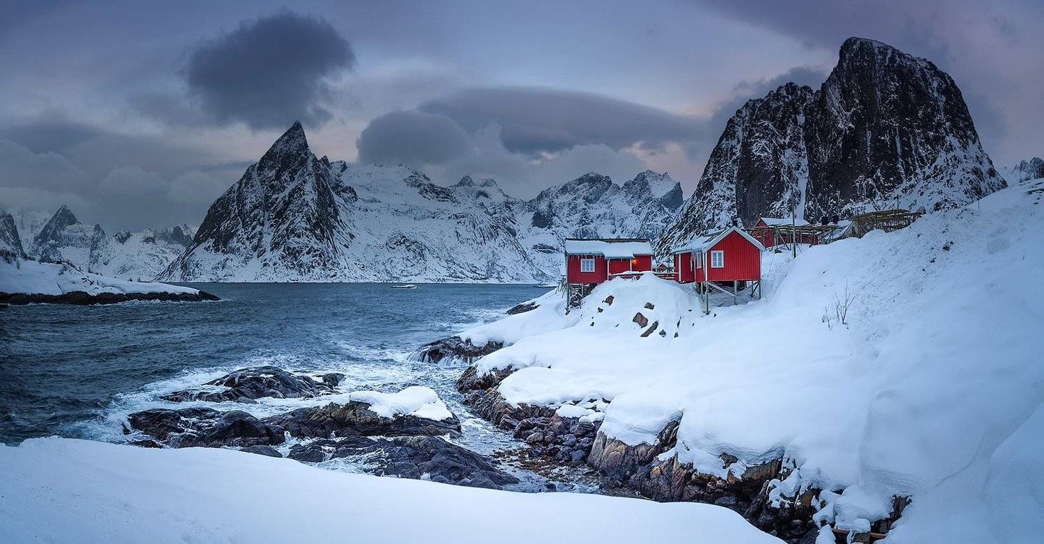 , Albena Andonova-Asa