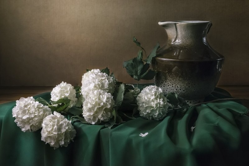 цветы, калина, кувшин, ткань, зелёный Калина бульдонеж и кувшин фото превью