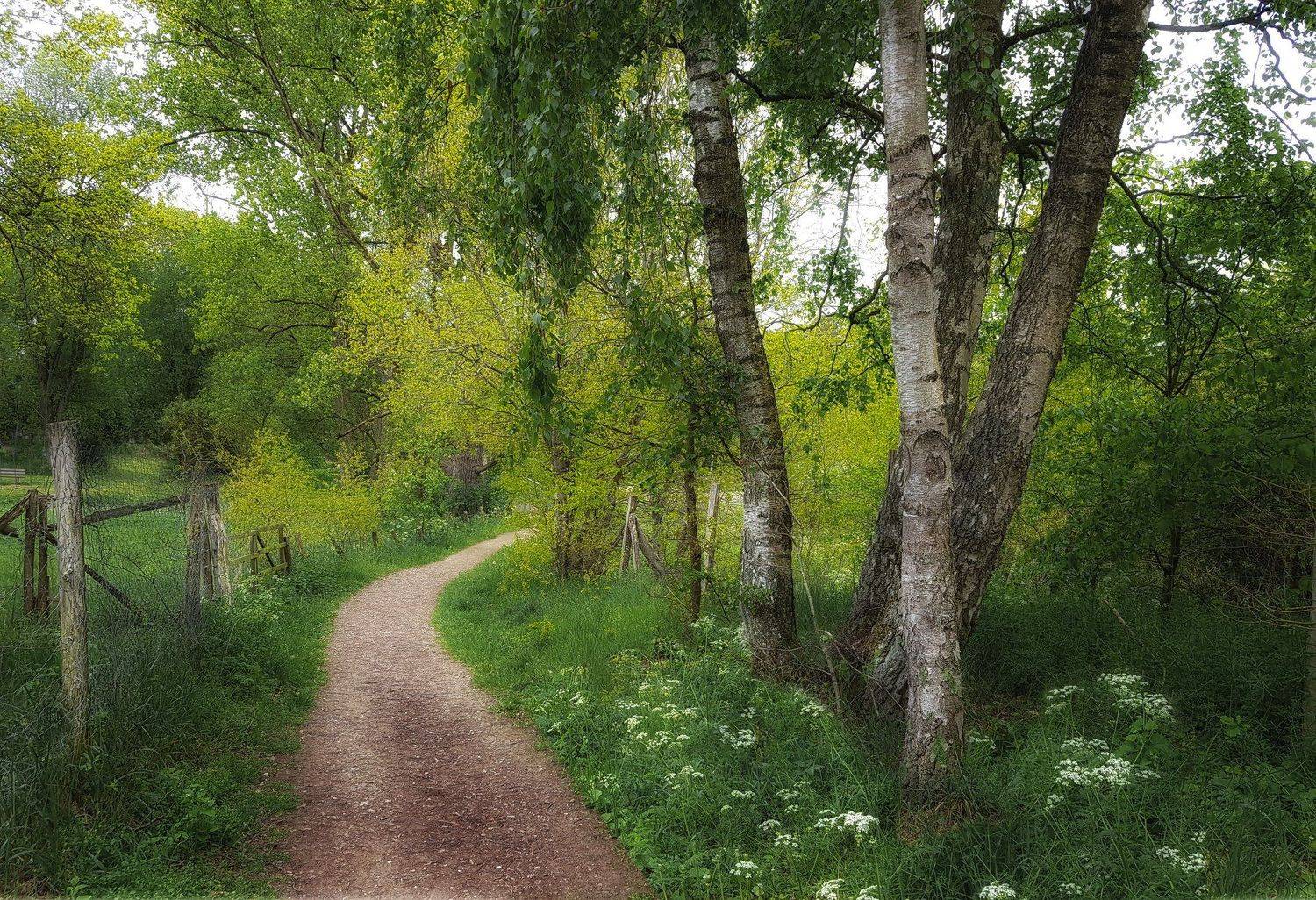 , Игорь Дубровский