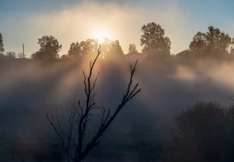 ... фото превью