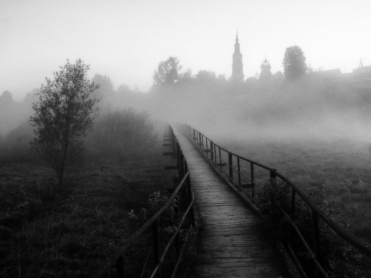 , Владимир Перепечаев