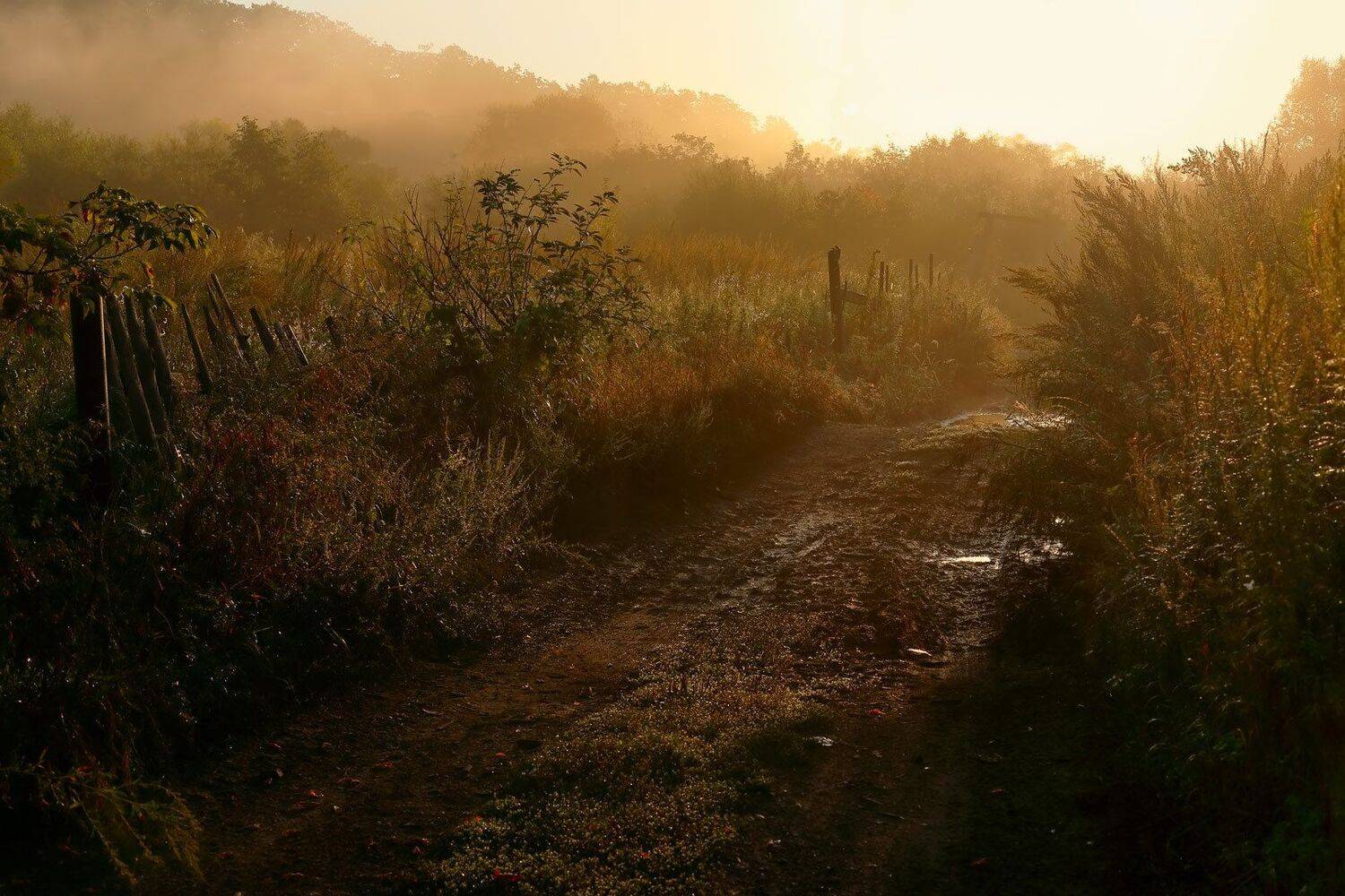осень, утро, сентябрь, рассвет, дорога, Евгений Паршуков