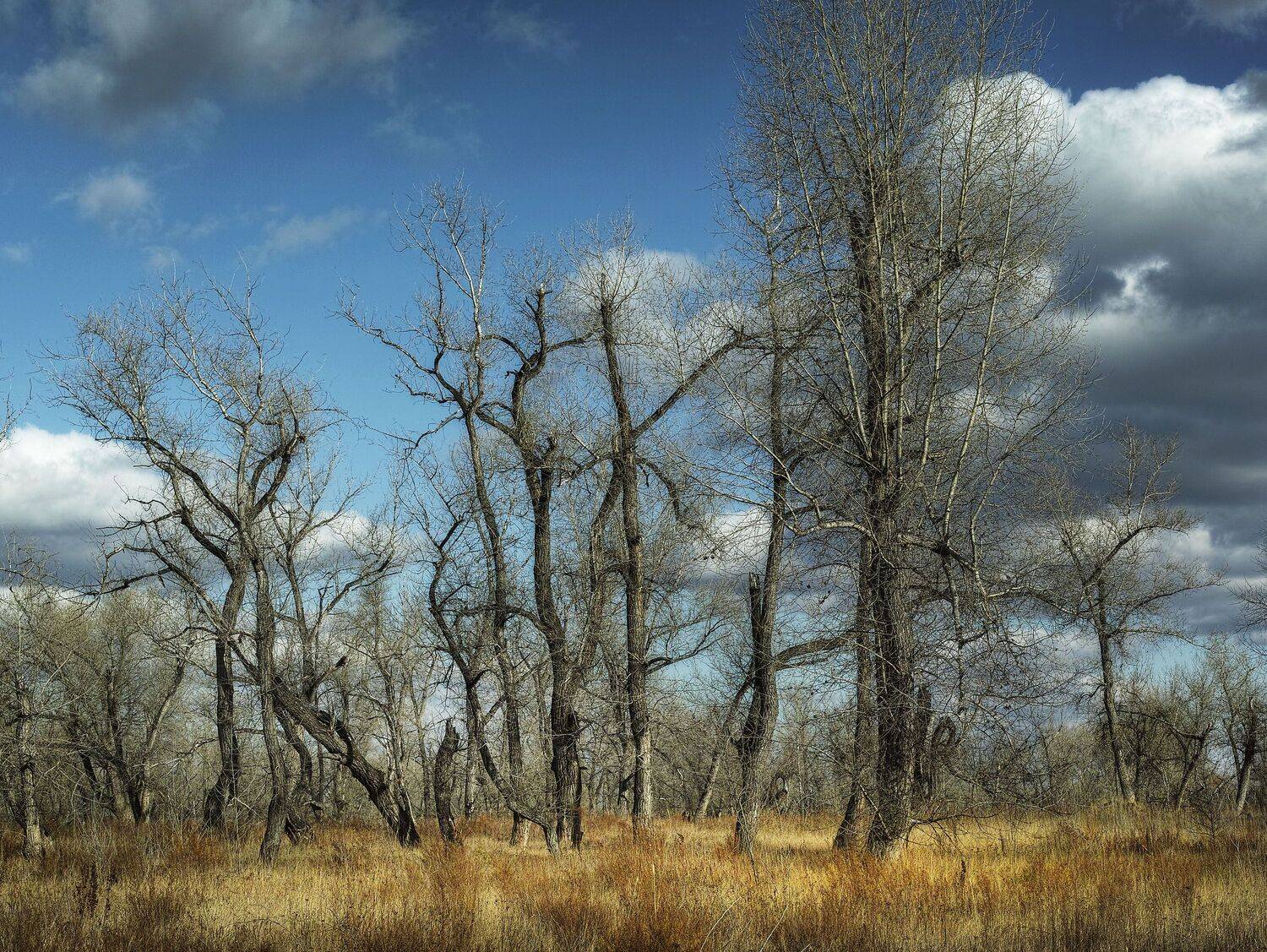 , Бусыгин Борис