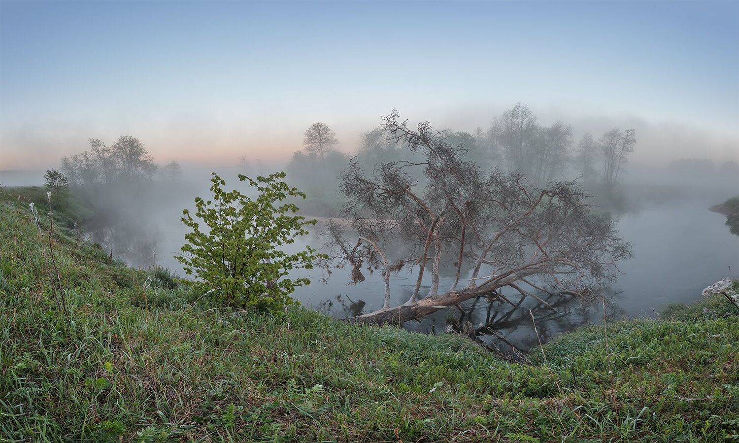, Николай Андреев