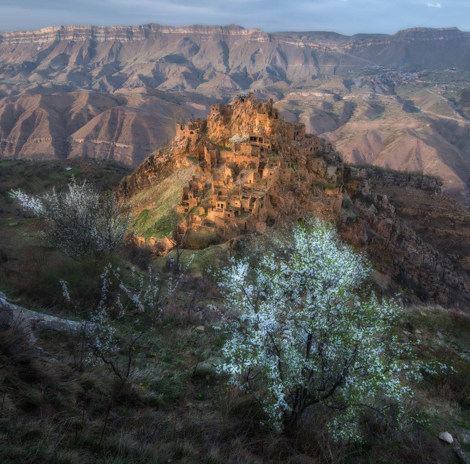 , Андрей Грачев