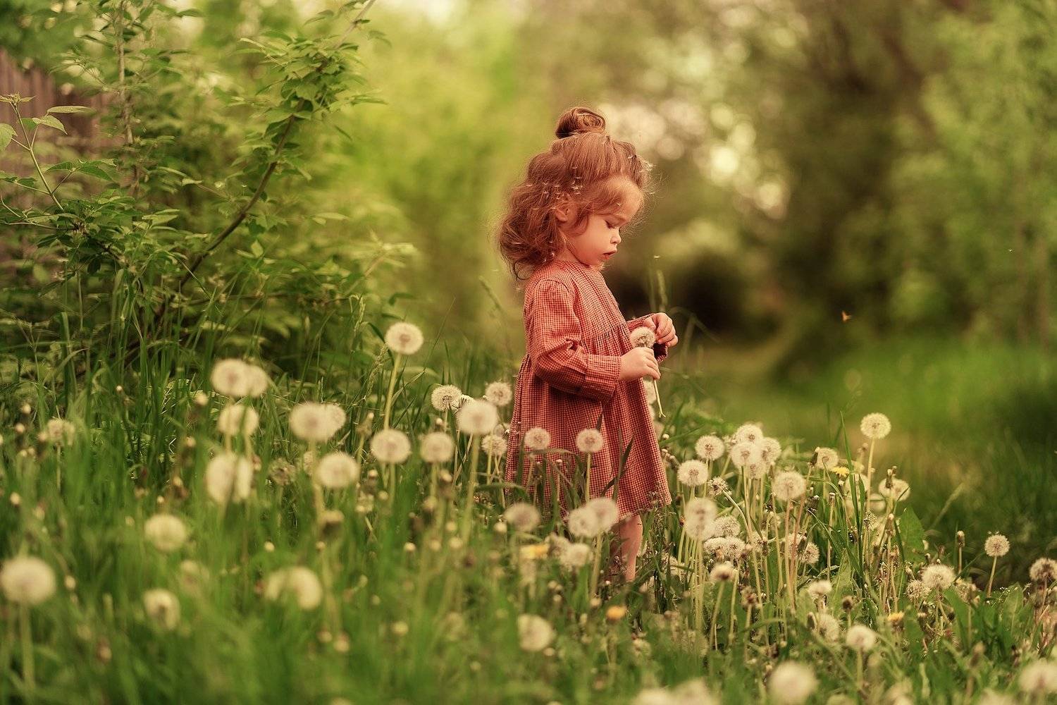 одуванчик, лето, зелень, дети, малышка, девочка, ребенок, солнце, Елена Горячева