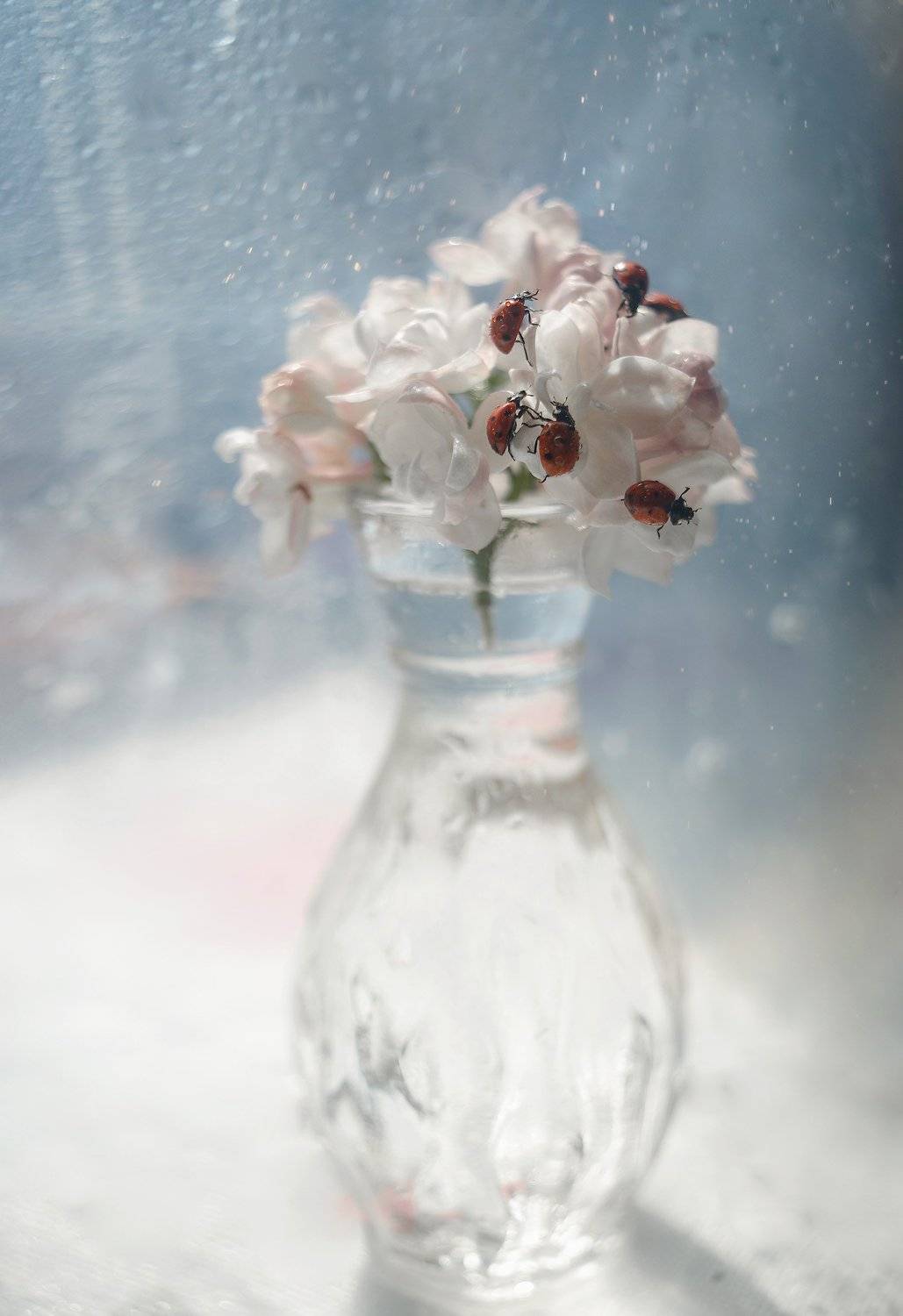 , Тарасова Ольга