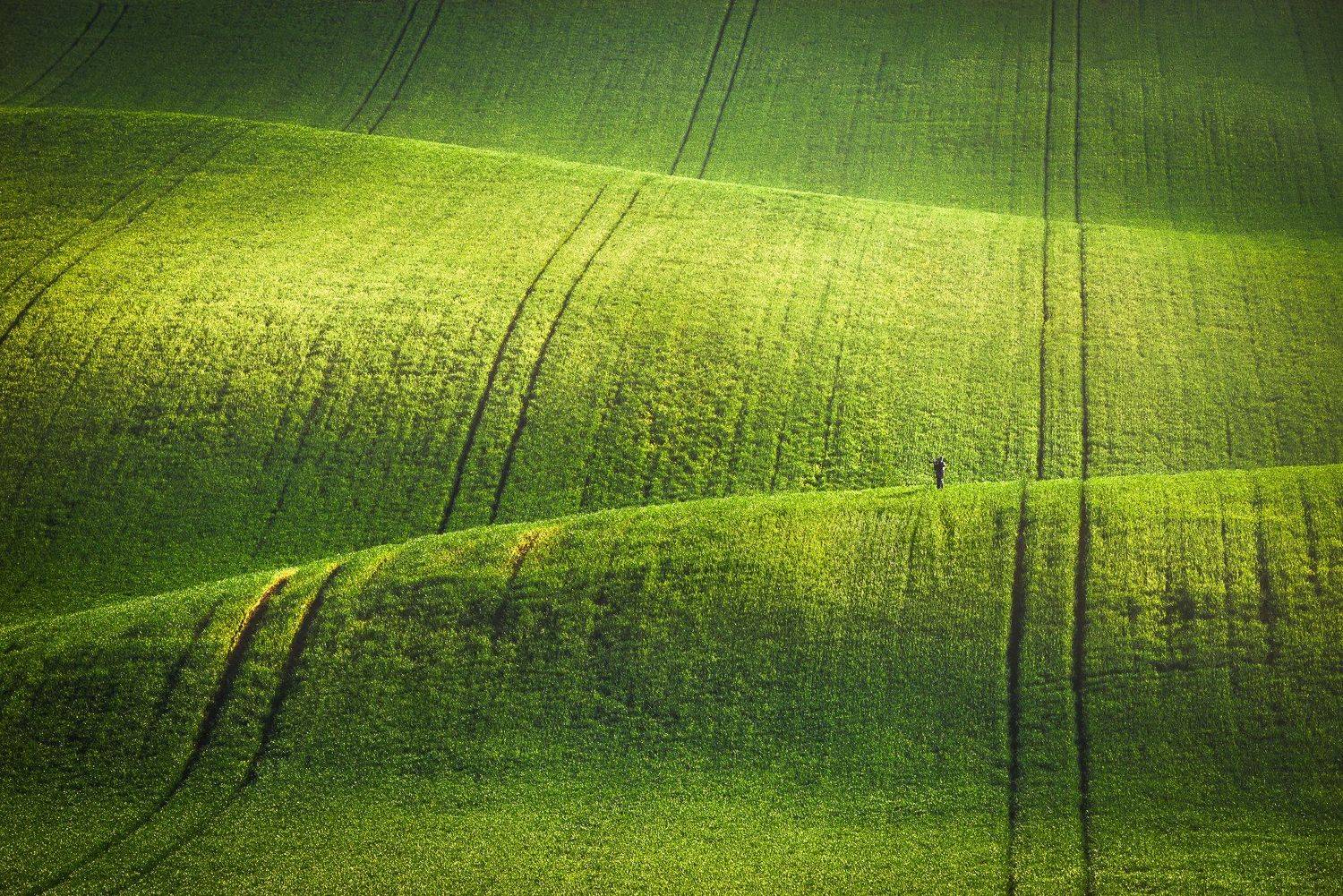 south moravia, czech, fields, spring, Калин Панчев